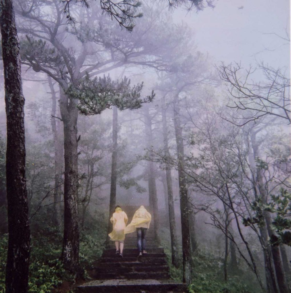 Foggy view of people in the back of a cart in the woods