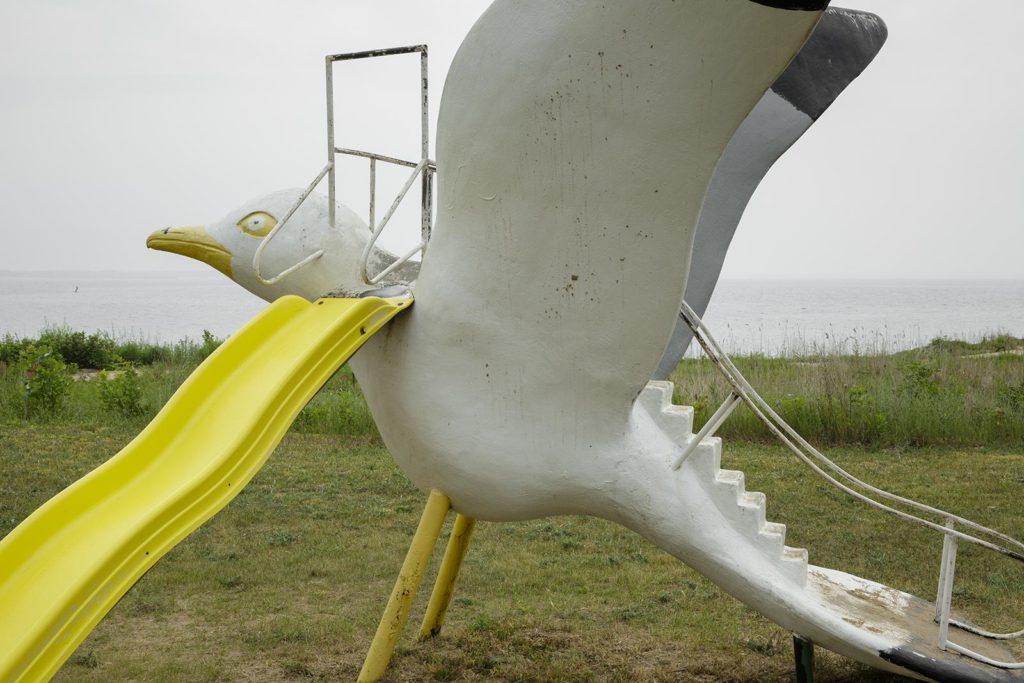 sliding board that looks like a seagull