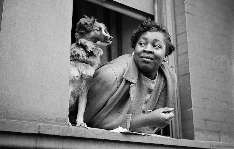 New York, New York: A Woman and her dog in the Harlem section