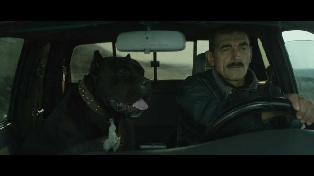a man and dog in the front seat of a truck driving away