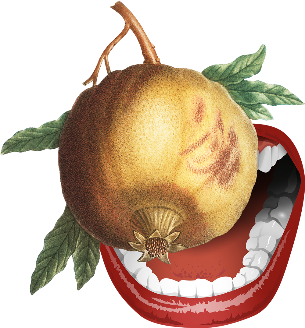 a mouth poised to snatch at a pomegranate